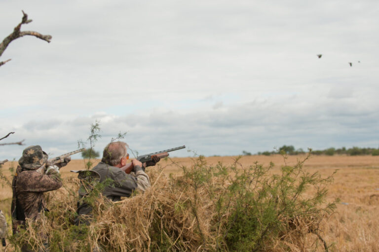 Preparing a Shotgun for Peak Performance During Dove Season